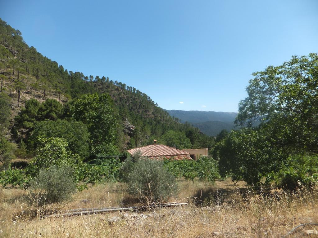 Rio Mundo Rural