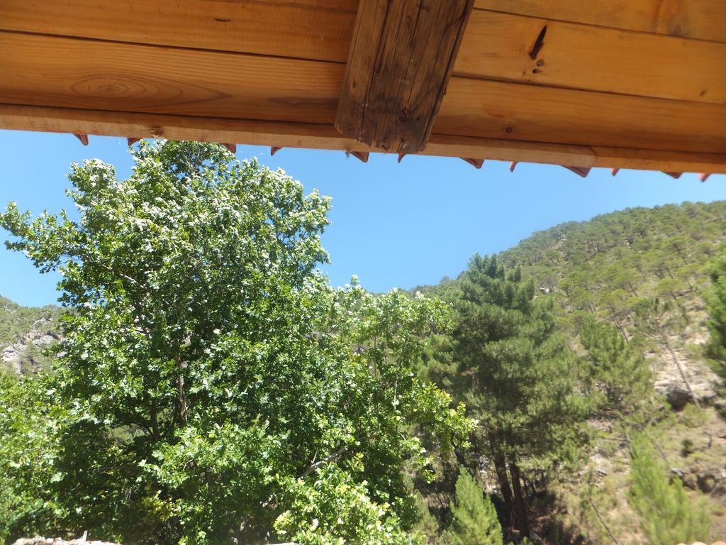 Rio Mundo Rural