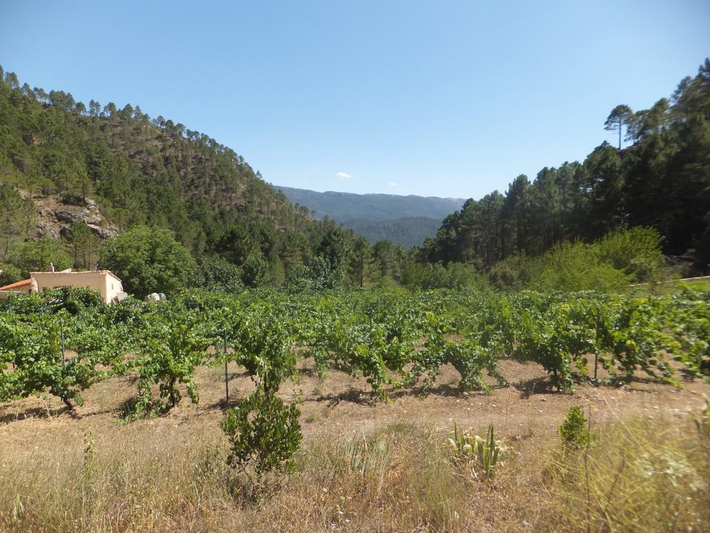 Country house Rio Mundo Rural *